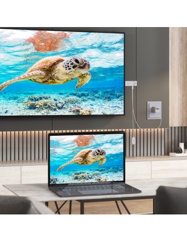 JVAW76-N Adaptador de pantalla inalámbrico ScreenCast 4K HDMI