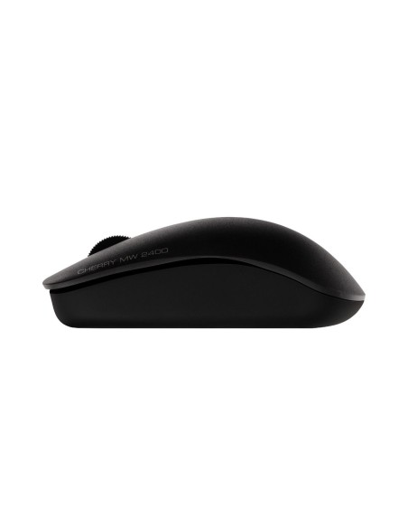 MW 2400 ratón Ambidextro RF inalámbrico Óptico 1200 DPI