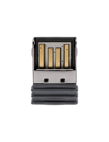 MW 2400 ratón Ambidextro RF inalámbrico Óptico 1200 DPI