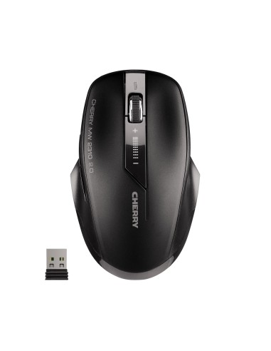 MW 2310 2.0 ratón Ambidextro RF inalámbrico Óptico 2400 DPI