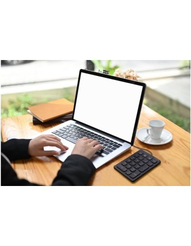 K79820WW teclado numérico Portátil/PC USB Negro