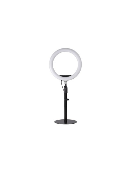 Soporte telescópico de escritorio A1010