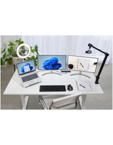 Soporte telescópico de escritorio A1010