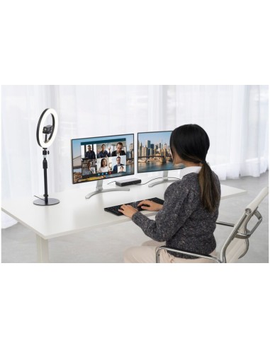 Soporte telescópico de escritorio A1010