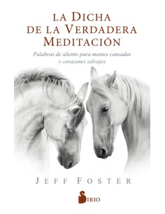 La dicha de la verdadera meditacion