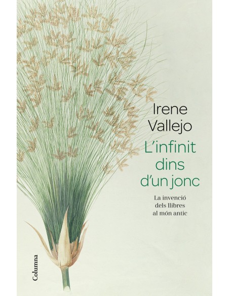 L infinit dins d un jonc