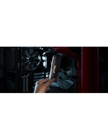 FURY Beast RGB módulo de memoria 32 GB 1 x 32 GB DDR4