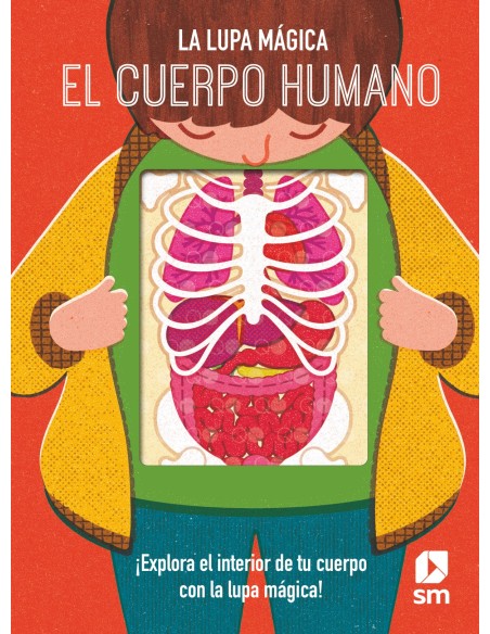 El cuerpo humano