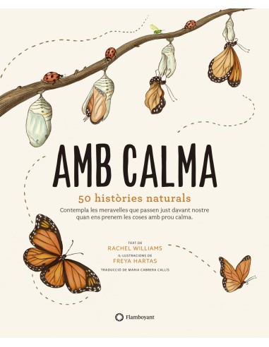 Amb calma