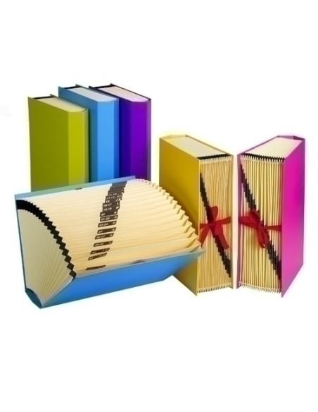 CLASIF.ACORD.CARCHIVO FSH 20 DP.(A-Z) AZ