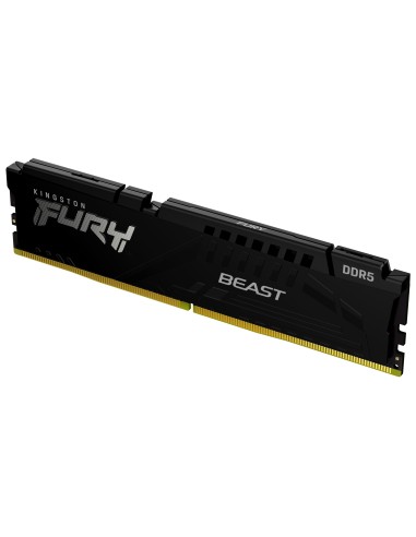 FURY Beast módulo de memoria 8 GB 1 x 8 GB DDR5