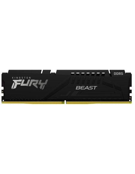 FURY Beast módulo de memoria 16 GB 1 x 16 GB DDR5