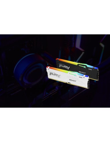 FURY Beast RGB módulo de memoria 16 GB 1 x 16 GB DDR5