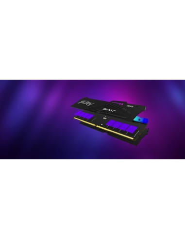 FURY Beast RGB módulo de memoria 16 GB 1 x 16 GB DDR5