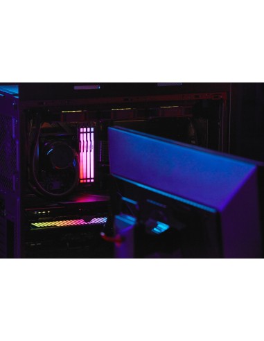 FURY Beast RGB módulo de memoria 32 GB 1 x 32 GB DDR5