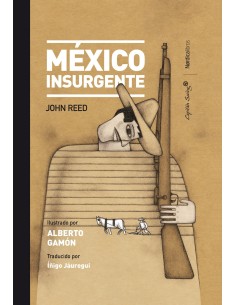 Mexico Insurgente