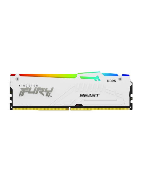FURY Beast RGB módulo de memoria 16 GB 1 x 16 GB DDR5 ECC
