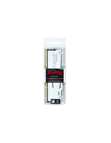 FURY Beast RGB módulo de memoria 32 GB 1 x 32 GB DDR5 ECC