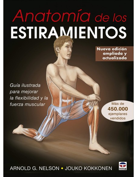 Anatomia de los estiramientos