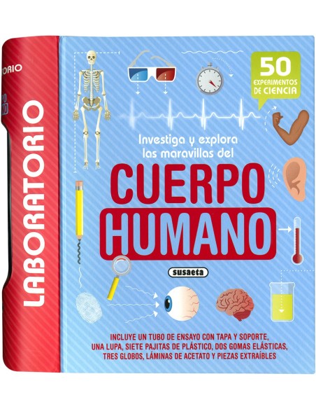 Cuerpo humano