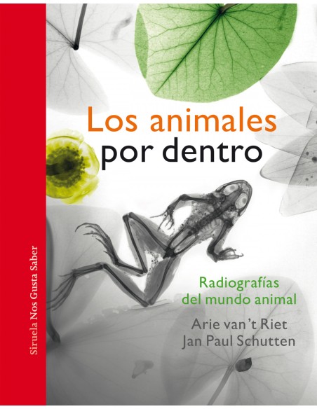 Los animales por dentro