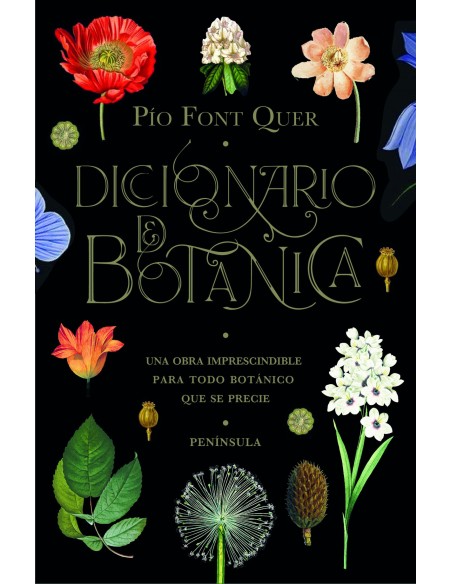 Diccionario de botanica