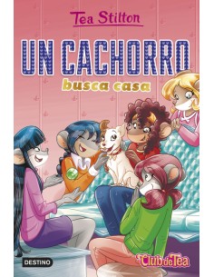 Un cachorro busca casa