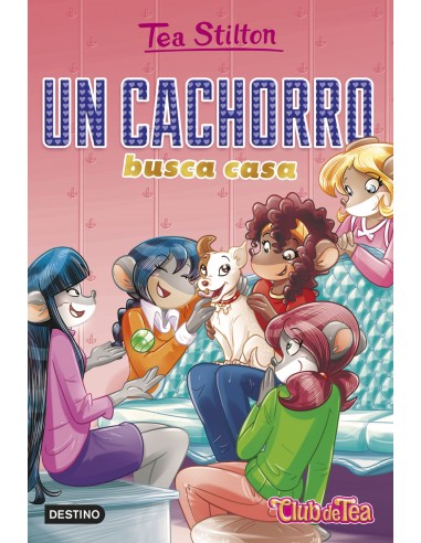 Un cachorro busca casa