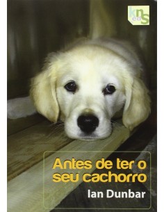 Antes de ter o seu cachorro