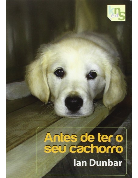Antes de ter o seu cachorro