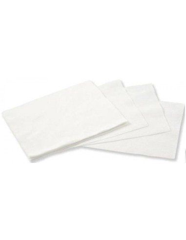 C 100 HOJAS RECAMBIO BORRADOR PIZARRA BLANCA 15M