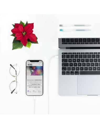 10.10.0602 cable de conector Lightning 2 m Blanco