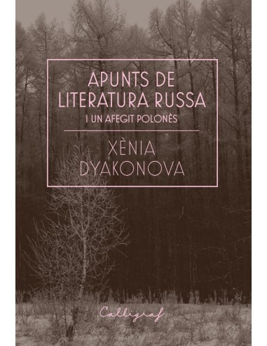 Apunts de literatura russa i un afegit polones