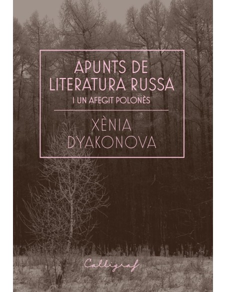 Apunts de literatura russa i un afegit polones
