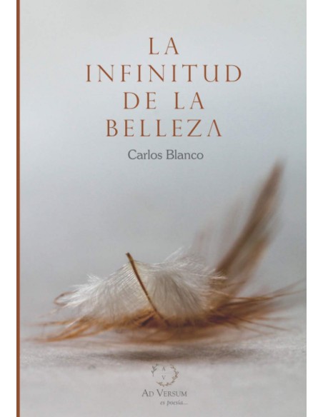 La infinitud de la belleza