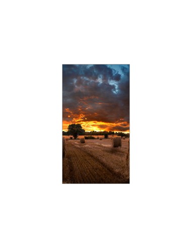 VM55B-U LED Interior