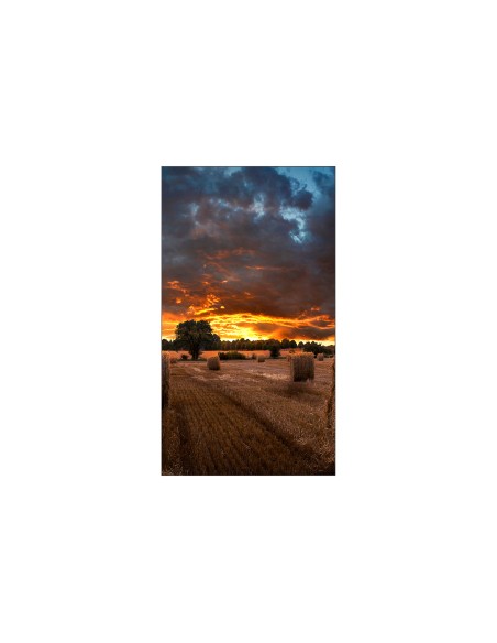 VM55B-U LED Interior