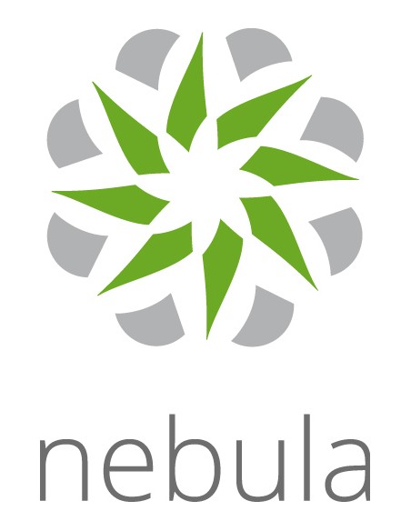 NEBULA PROFESSIONAL PACK LICENSE 1Y
