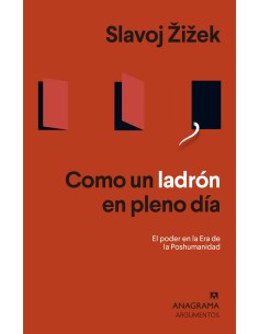 Como un ladron en pleno dia