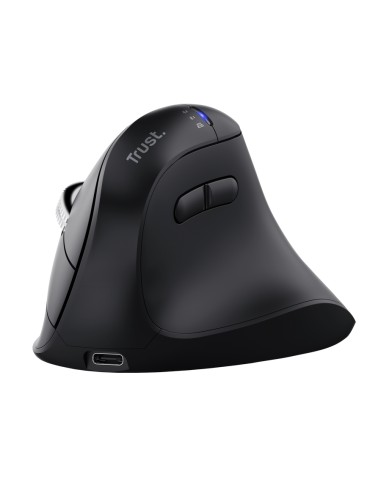 Vyran ratón Universal mano derecha RF Wireless + Bluetooth Óptico 4800 DPI
