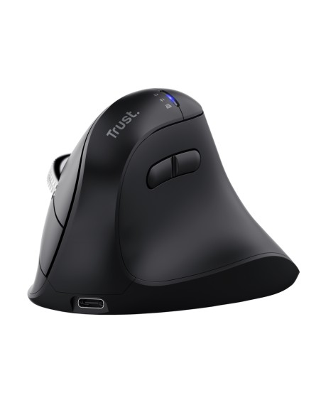 Vyran ratón Universal mano derecha RF Wireless + Bluetooth Óptico 4800 DPI