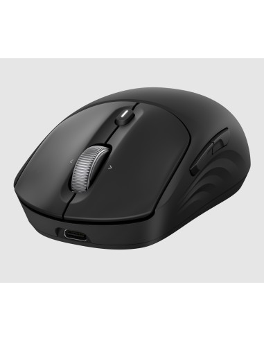 Ratón inalámbrico recargable 705