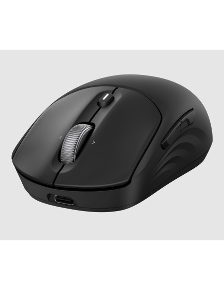 Ratón inalámbrico recargable 705