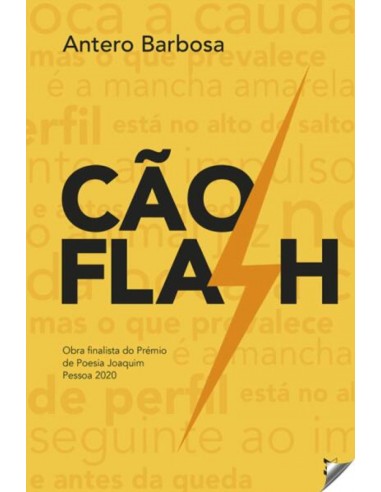 CAO FLASH