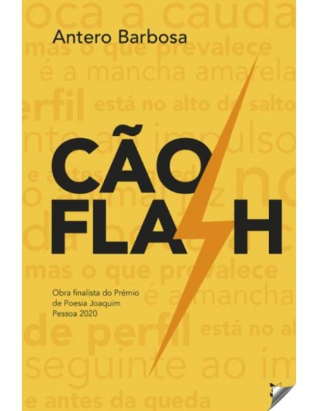CAO FLASH
