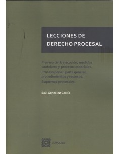 LECCIONES DERECHO PROCESAL PROCESO CIVIL EJECUCION
