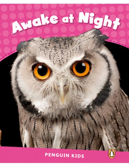 Penguin Kids 2 Awake At Night Reader CLIL