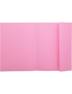 C 100 SUBCARPETAS A4 160G 1 SOLAPA COLOR ROSA