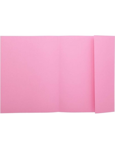 C 100 SUBCARPETAS A4 160G 1 SOLAPA COLOR ROSA