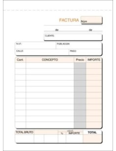 PAQ 10 TALONARIOS DE FACTURAS FOLIO NATURAL DUPLICADO IGIC